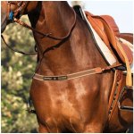 ACAVALLO Poprsník Single cognac – Zboží Dáma