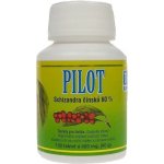 Hemann Pilot schizandra čínská 60% 100 tablet – Hledejceny.cz
