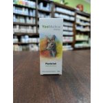 YaoMedica Plachá laň 50 ml – Hledejceny.cz
