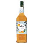 Giffard Mango sirup 1 l – Sleviste.cz