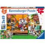 Ravensburger 44 Kočky 3 x 49 dílků – Hledejceny.cz