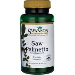 Swanson Saw Palmetto 540 mg 100 kapslí – Hledejceny.cz