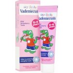 Vademecum Junior Jahoda zubní pasta dětská 50 ml – Zbozi.Blesk.cz