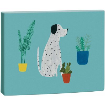 Roger la Borde Chouchou Chien balicí papír modrá/tyrkysová/zelená – Hledejceny.cz