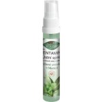 Dentamint ústní sprej mentol 27 ml – Zboží Dáma