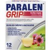 PARALEN GRIP HORKÝ NÁPOJ ECHINACEA A ŠÍPKY POR 500MG/10MG POR GRA SOL SCC 12