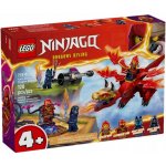 LEGO® NINJAGO® 71810 Dračí mládě Riyu – Hledejceny.cz