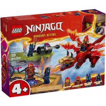 LEGO® NINJAGO® 71810 Dračí mládě Riyu