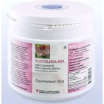 MRL Auricularia Boltcovitka ucho Jidášovo prášek 250 g – Hledejceny.cz