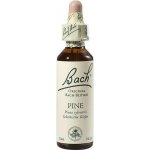 Bachovy květové esence Borovice lesní Pine 20 ml – Hledejceny.cz