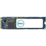 Dell SSD M.2 PCI Express 4.0 NVMe 1TB, AC037409 – Hledejceny.cz