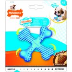 Nylabone Puppy Teething X Bone Beef S – Zbozi.Blesk.cz