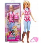 Barbie Malibu Džokejka růžová – Sleviste.cz