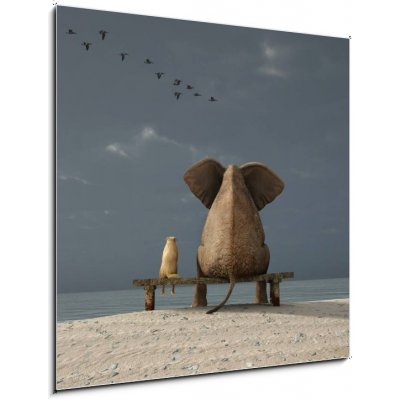 Skleněný obraz 1D - 50 x 50 cm - elephant and dog sit on a beach slon a pes sedí na pláži – Zbozi.Blesk.cz