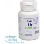 Joalis UrHerb UrinoHelp Bylinné kapsle 100 kapslí – Hledejceny.cz