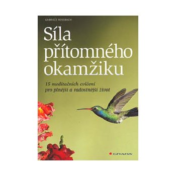 Síla přítomného okamžiku