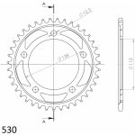 Supersprox RFE-302:39-BLK | Zboží Auto