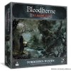 Desková hra Bloodborne: Forbidden Woods