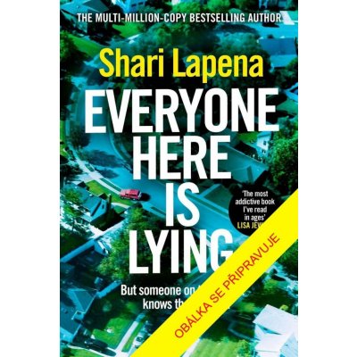 Všude samí lháři - Shari Lapena