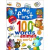 Kniha Nakladatelství SUN My first 100 words - My world