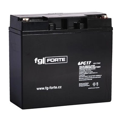 fgForte 12V 17Ah 6FG17 – Zboží Živě