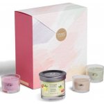 Yankee Candle Art In The Park 3 ks votivní svíčky – Zbozi.Blesk.cz