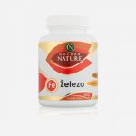 Golden Nature Železo+Vitamin C+Kys. listová 100 kapslí – Hledejceny.cz