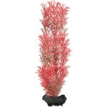 Tetra Myriophyllum heterophyllum - Red Foxtail 23 cm – Zboží Mobilmania