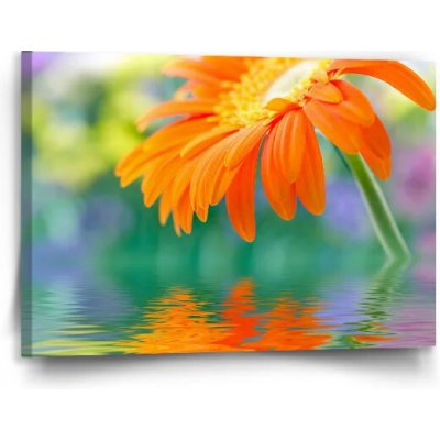 Sablio Obraz Oranžová gerbera - 90x60 cm – Hledejceny.cz