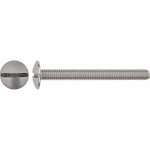 Korčekový šroub s půlkulatou hlavou PZ bíle pozinkovaný M6 x 40 mm, 8 ks – Hledejceny.cz