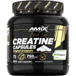 Amix Black Line Creatine Creapure Capsules 300 kapslí – Zboží Mobilmania