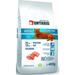 Ontario Adult Ocean Fish 400 g – Hledejceny.cz