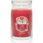 Yankee Candle Santa On Skis Signature 567 g – Zboží Dáma
