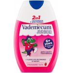 Vademecum 2v1 Junior kombinace zubní pasty a ÚV Jahoda 75 ml – Hledejceny.cz