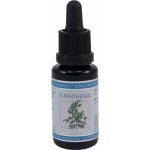 Nobilis Tilia D-panthenol 20 ml – Zboží Dáma