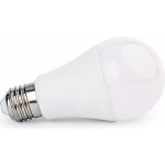 Ekolight LED žárovka E27 10W 800Lm studená bílá EC79482 – Zboží Mobilmania