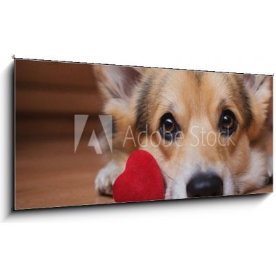 Skleněný obraz 1D panorama - 120 x 50 cm - A dog with a red heart. Valentine`s Day. Pes s červeným srdcem. Den svatého Valentýna. – Hledejceny.cz