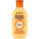 Šampon Garnier Botanic Therapy šampon Honey & Propolis 250 ml