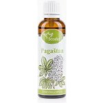 Serafin tinktura z bylin Kaštan Chestnut 50 ml – Hledejceny.cz