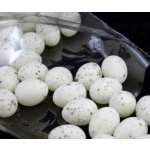 kropenatá mini vajíčka 36 ks bílá – Zboží Dáma