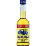 R. Jelínek Meruňkovice 42% 0,5 l (holá láhev) – Zboží Dáma