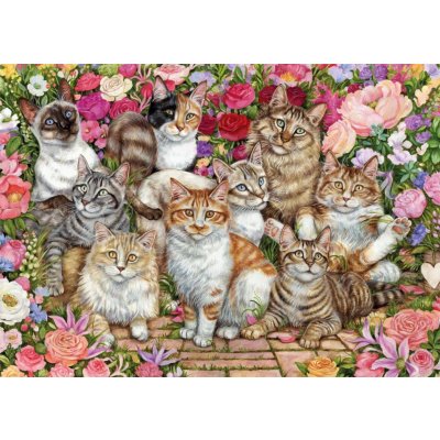 JUMBO FALCON Kočky mezi květy 1000 dílků