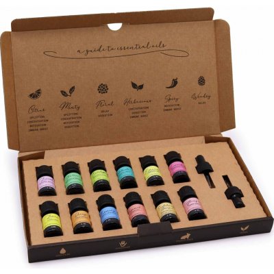 Ancient Wisdom Top 12 dárková sada esenciálních olejů 12 x 10 ml – Hledejceny.cz
