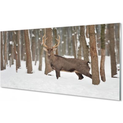 Obraz na skle Jelen zimní les 100x50 cm