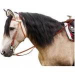 Randol Westernová uzdečka RANDOL'S Two Tone chestnut/natural – Zboží Dáma