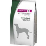 Eukanuba Veterinary Diets Restricted Calories Dog 12 kg – Hledejceny.cz