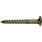 Vruty RAPI-TEC SK 10x100mm talířová hlava TX50 galvanický zinek – Hledejceny.cz