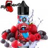 Příchuť pro míchání e-liquidu Big Mouth Shake & Vape Classical 1 Million Berries 12 ml