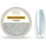 Starnails Nail Art zdobení pigment P026 – Hledejceny.cz