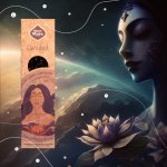 Sagrada Madre Vonné tyčinky 5 ELEMENTŮ Éter Jasnost 6 ks – Hledejceny.cz